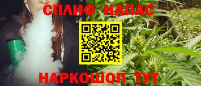 СК Дубна