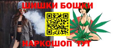СК Дубна
