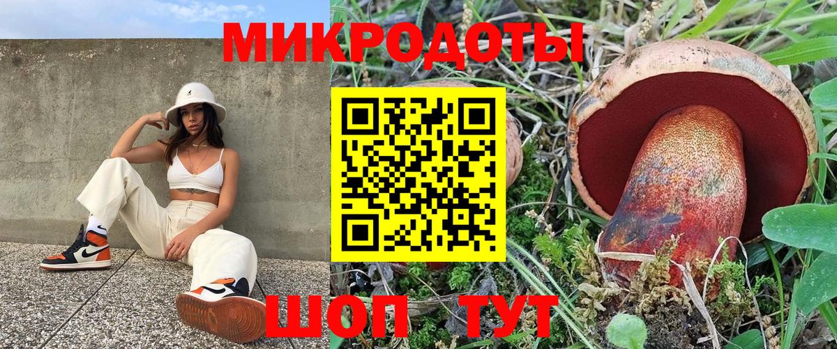 Кубинка  Галлюциногенные грибы Cubensis  Вход с VPN 